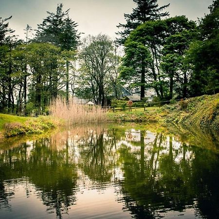 Gellifawr Woodland Retreat Hotell Pontfaen Exteriör bild