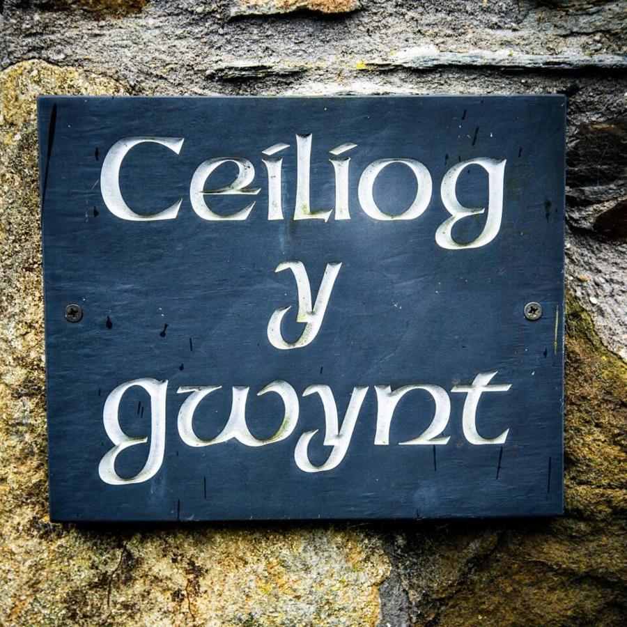 Gellifawr Woodland Retreat Hotell Pontfaen Exteriör bild